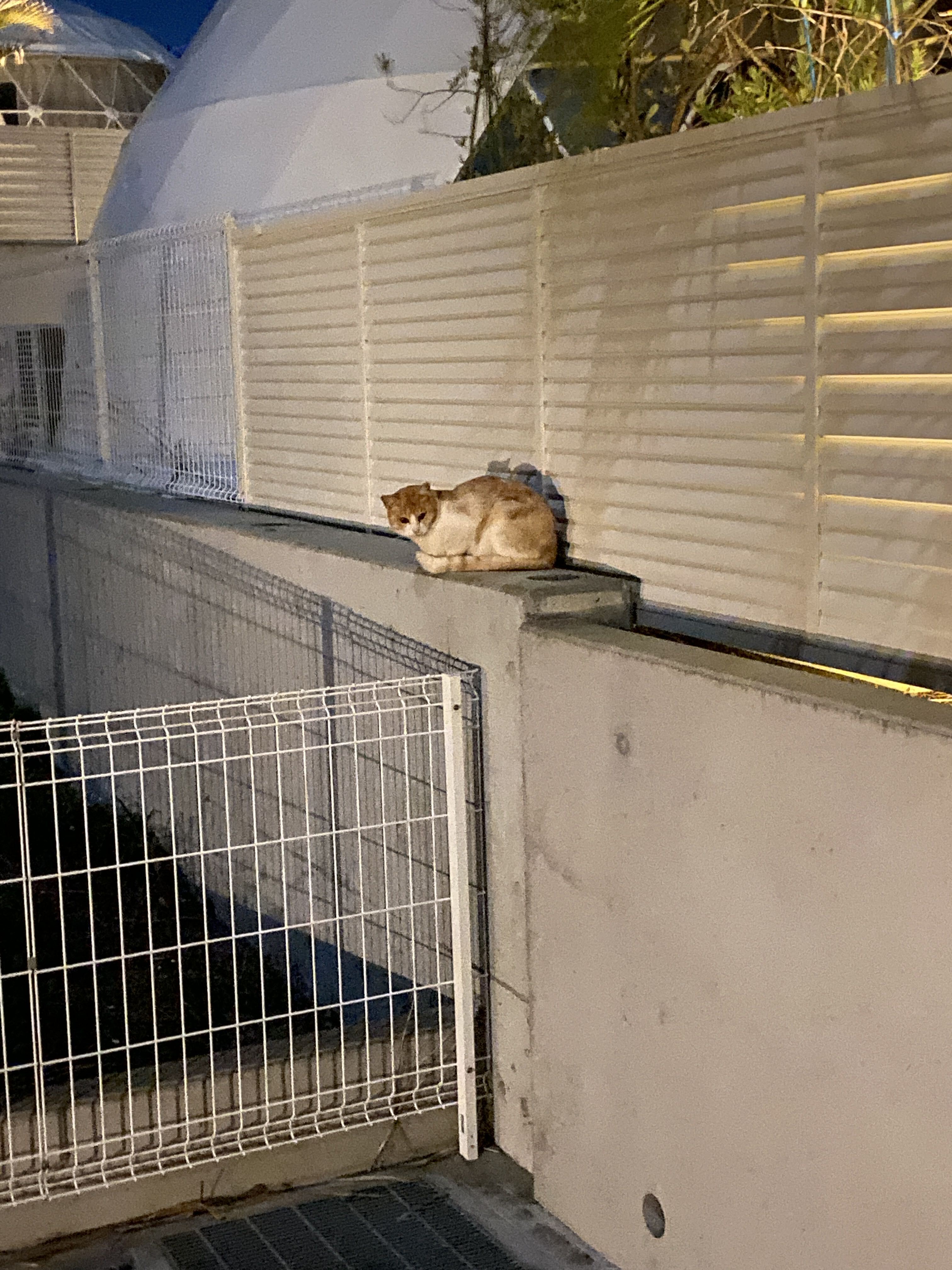 宮本達輝