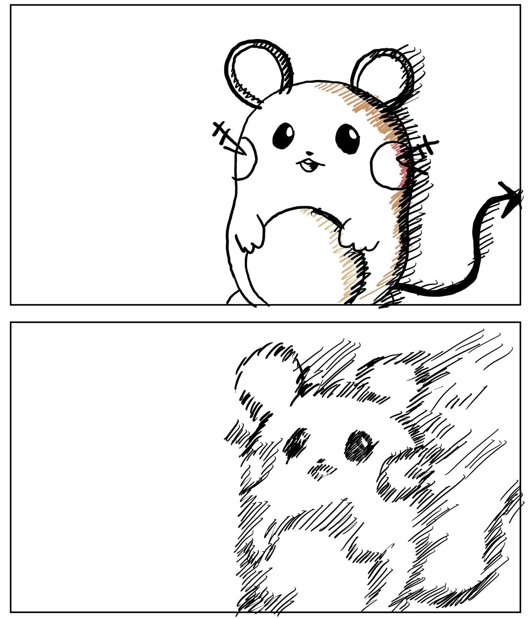 宮本達輝
